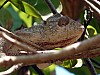 MA09049 copie.jpg