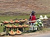 MA05070 copie.jpg