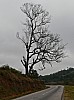 MA08004 copie.jpg