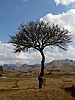 MA09056 copie.jpg