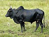 MA08065 copie.jpg