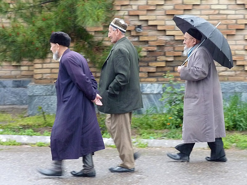 uz05113.jpg